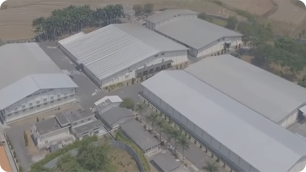 Company Video Thumbnail